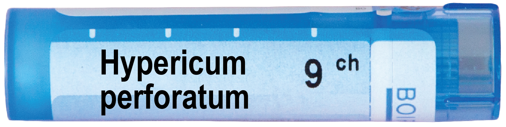 Hypericum Perforatum 9 CH
